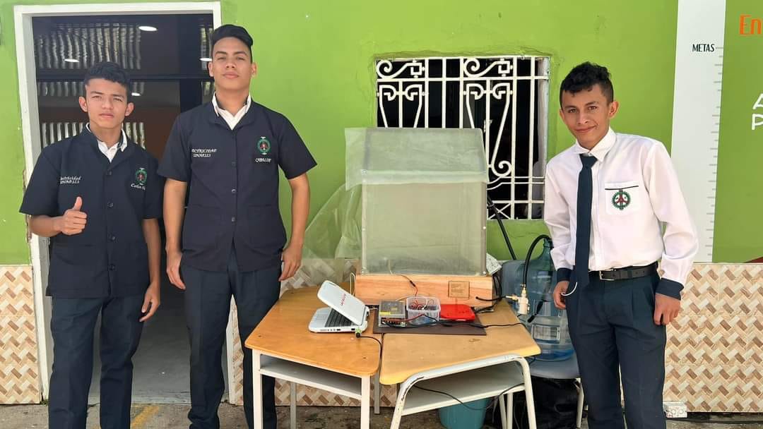 Riego automatizado para invernadero de tomate