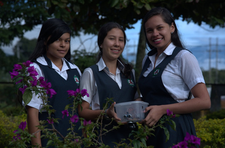 Prototipos VOLTEADOR DE CAFÈ