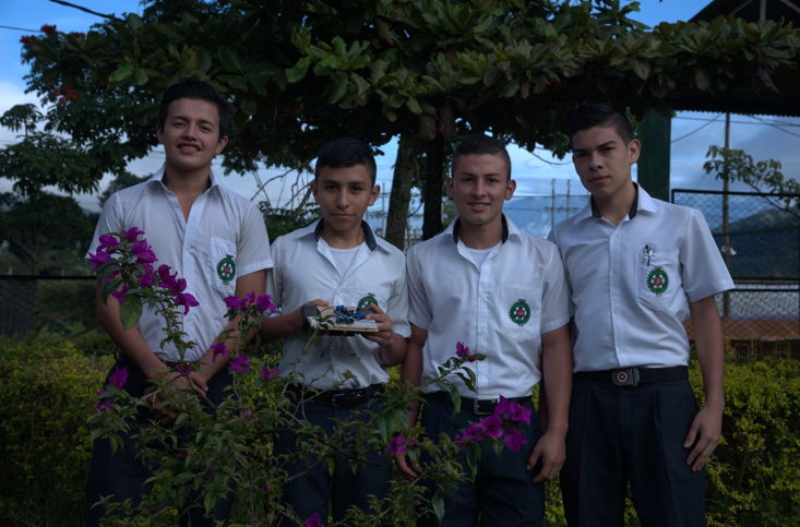 Prototipos VOLTEADOR DE CAFÈ